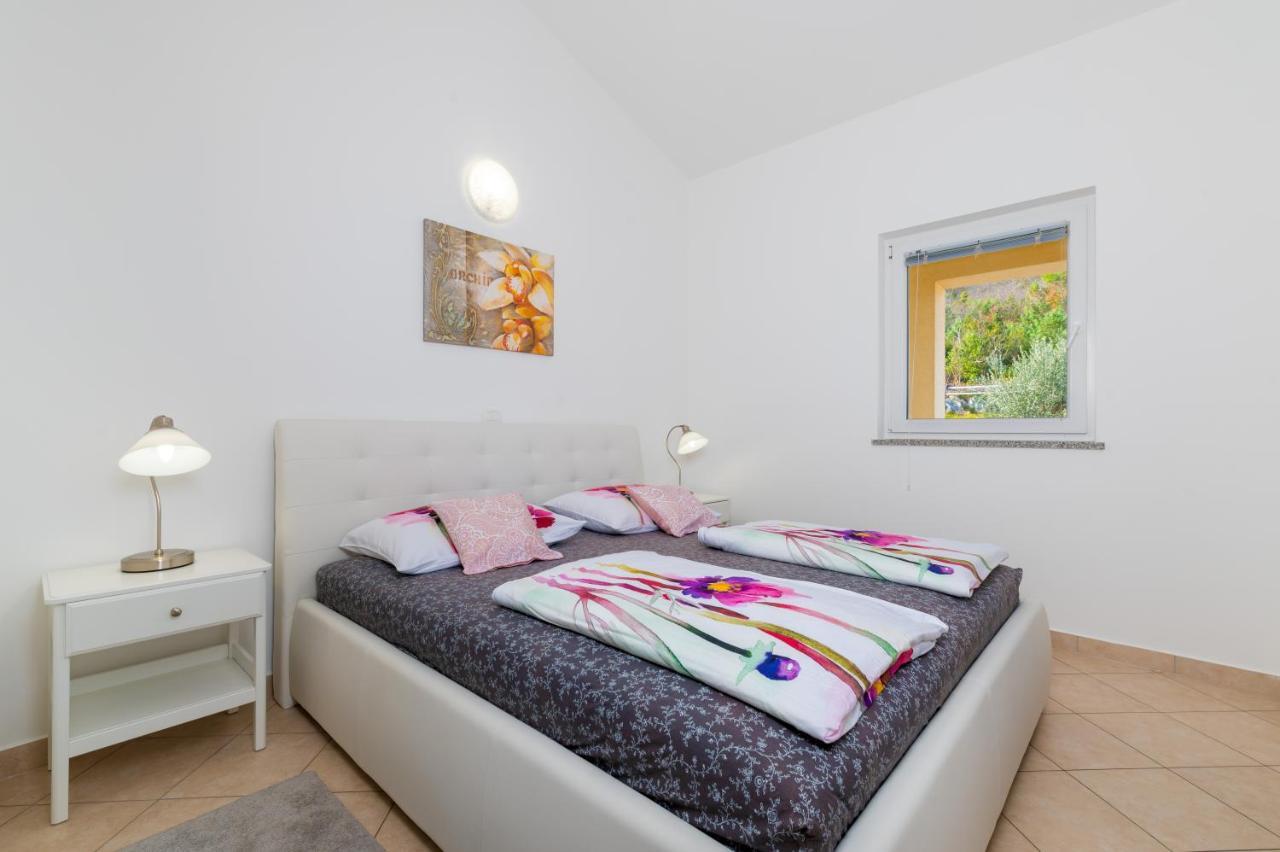 Apartment Panoramica - Ravni Labin  Dış mekan fotoğraf